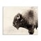 Stupell Industries Shaggy Buffalo Rustic Portrait Vintage Sepia Tone Photography Canvas Design By Nancy Crowell